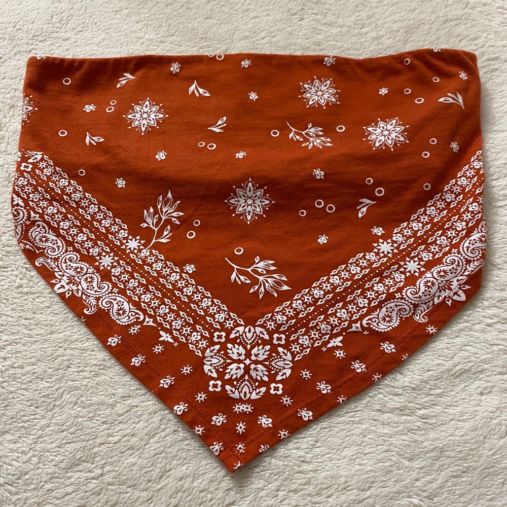 COPY - Bandana Design Crop Top